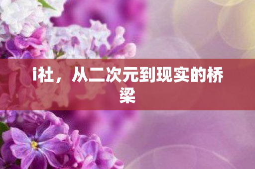 i社，从二次元到现实的桥梁