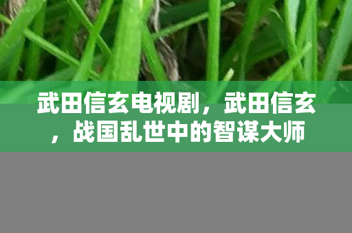 武田信玄电视剧，武田信玄，战国乱世中的智谋大师