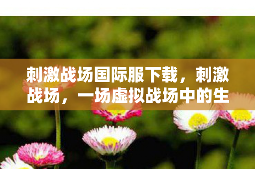 刺激战场国际服下载，刺激战场，一场虚拟战场中的生存挑战