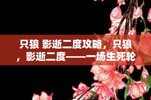只狼 影逝二度攻略，只狼，影逝二度——一场生死轮回的武侠之旅