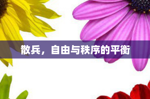 散兵,自由与秩序的平衡 散兵,自由与秩序的平衡