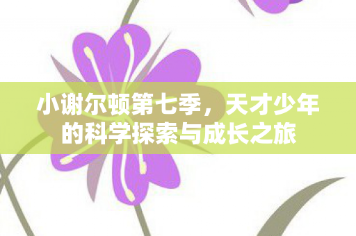 小谢尔顿第七季，天才少年的科学探索与成长之旅