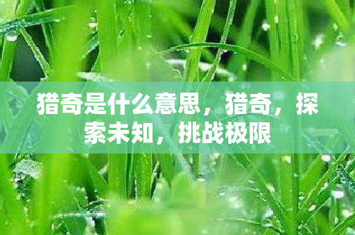 猎奇是什么意思，猎奇，探索未知，挑战极限