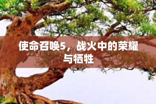 使命召唤5,战火中的荣耀与牺牲 使命召唤5,战火中的荣耀与牺牲