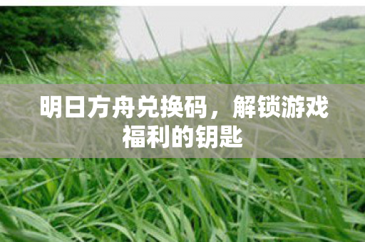 明日方舟兑换码，解锁游戏福利的钥匙