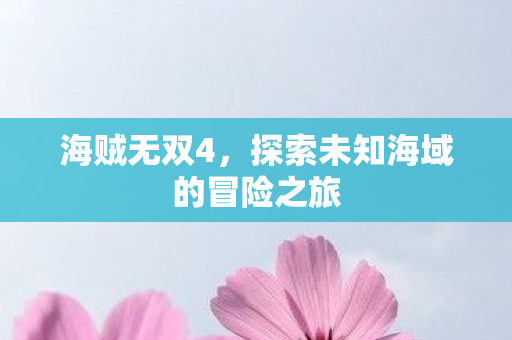 海贼无双4，探索未知海域的冒险之旅