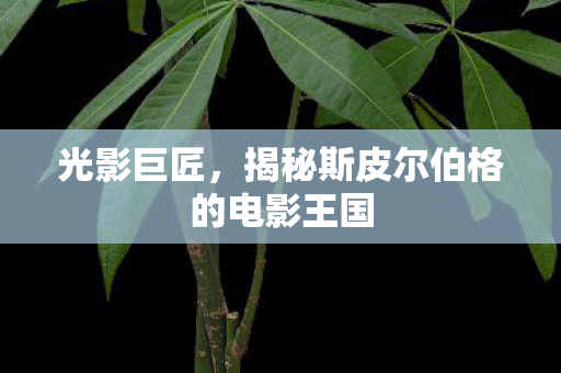 光影巨匠，揭秘斯皮尔伯格的电影王国