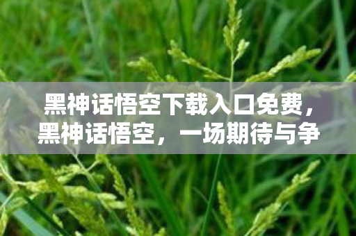 黑神话悟空下载入口免费,黑神话悟空,一场期待与争议并存的国产3A大作 黑神话悟空下载入口免费,黑神话悟空,一场期待与争议并存的国产3A大作