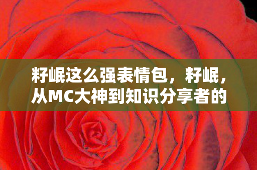 籽岷这么强表情包，籽岷，从MC大神到知识分享者的转变