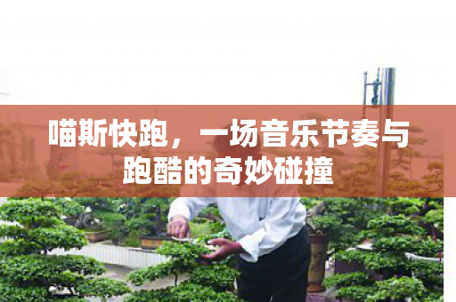 喵斯快跑，一场音乐节奏与跑酷的奇妙碰撞