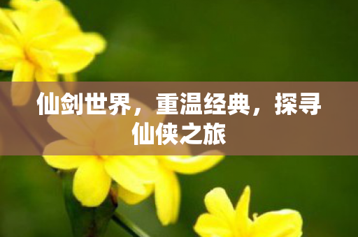 仙剑世界，重温经典，探寻仙侠之旅