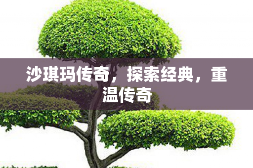 沙琪玛传奇，探索经典，重温传奇