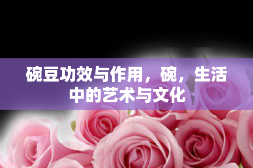 碗豆功效与作用，碗，生活中的艺术与文化