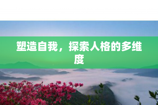 塑造自我，探索人格的多维度