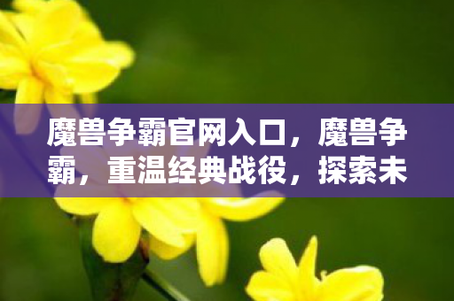 魔兽争霸官网入口,魔兽争霸,重温经典战役,探索未知领域 魔兽争霸官网入口,魔兽争霸,重温经典战役,探索未知领域