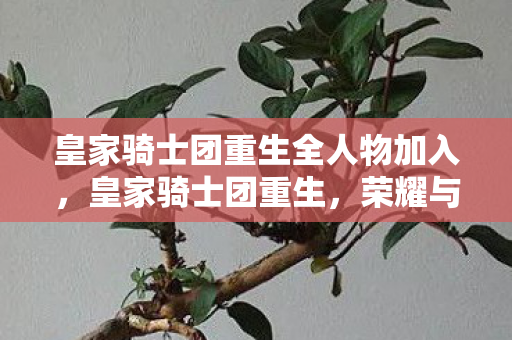 皇家骑士团重生全人物加入,皇家骑士团重生,荣耀与使命的传奇再现 皇家骑士团重生全人物加入,皇家骑士团重生,荣耀与使命的传奇再现