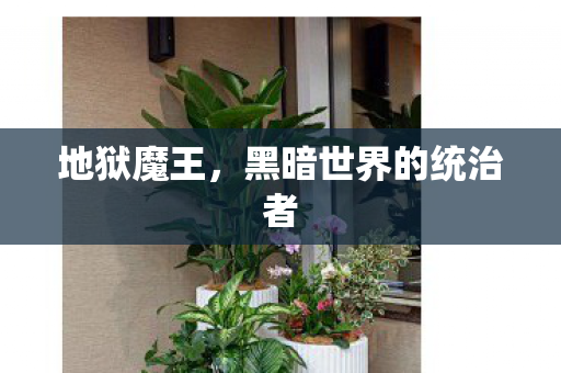 黑暗世界的统治者图片