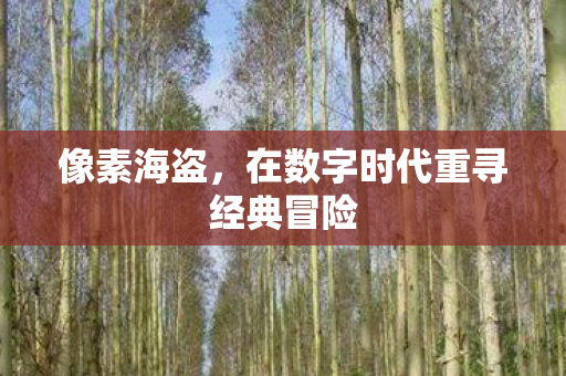 像素海盗，在数字时代重寻经典冒险