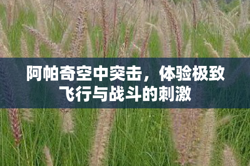 阿帕奇空中突击，体验极致飞行与战斗的刺激