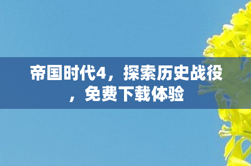 帝国时代4，探索历史战役，免费下载体验