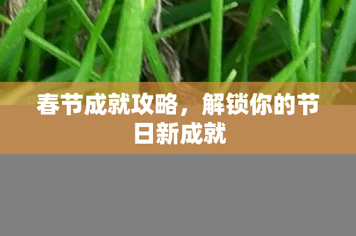 春节成就攻略，解锁你的节日新成就