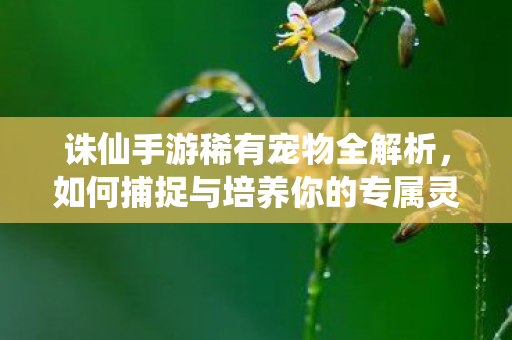 诛仙手游稀有宠物全解析，如何捕捉与培养你的专属灵兽
