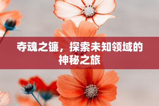 夺魂之镰，探索未知领域的神秘之旅