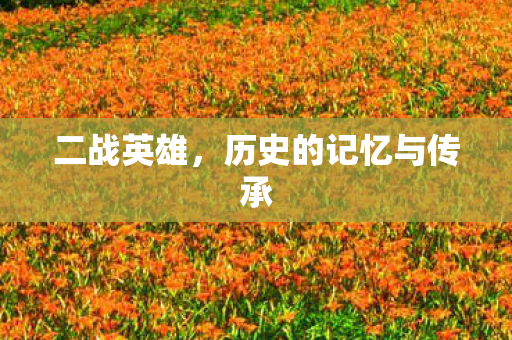 二战英雄，历史的记忆与传承