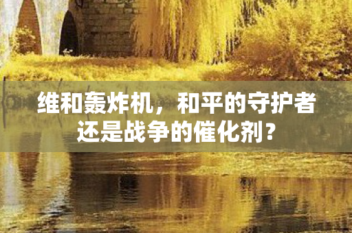维和轰炸机，和平的守护者还是战争的催化剂？