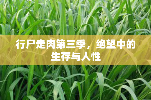 行尸走肉第三季，绝望中的生存与人性