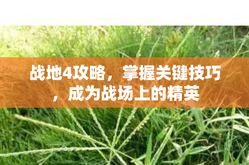 战地4攻略，掌握关键技巧，成为战场上的精英