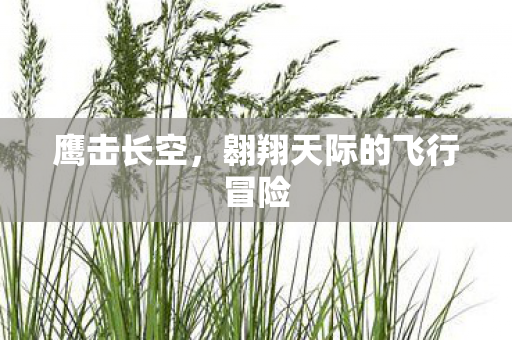 翱翔天际的飞行冒险图片