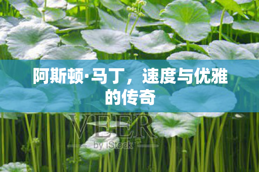 速度与优雅的传奇图片