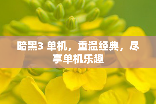 暗黑3 单机，重温经典，尽享单机乐趣