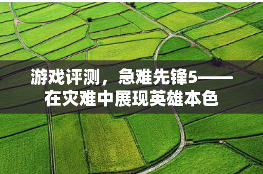 游戏评测，急难先锋5——在灾难中展现英雄本色