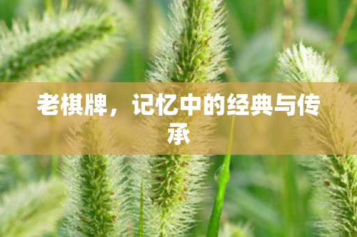 老棋牌，记忆中的经典与传承