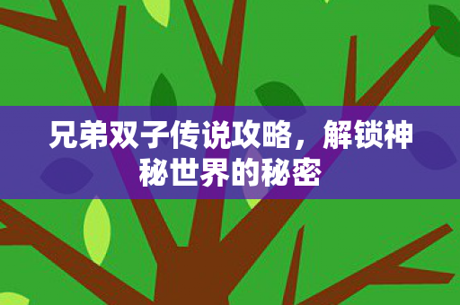 兄弟双子传说攻略，解锁神秘世界的秘密