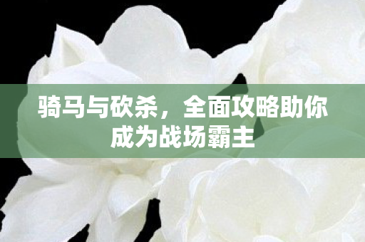 全面攻略助你成为战场霸主图片