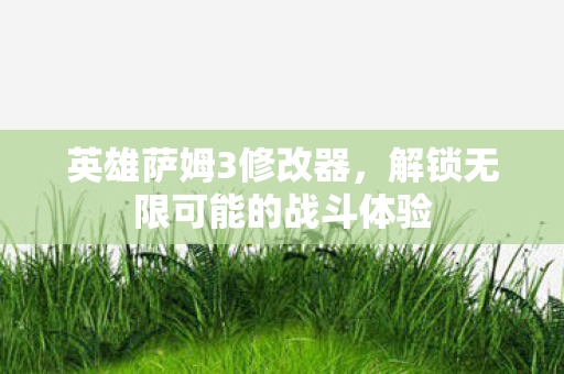 英雄萨姆3修改器，解锁无限可能的战斗体验