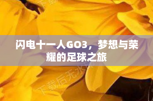 闪电十一人GO3，梦想与荣耀的足球之旅
