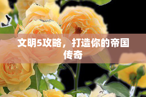 文明5攻略，打造你的帝国传奇