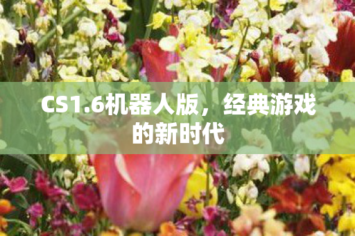 CS1.6机器人版，经典游戏的新时代
