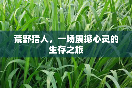 荒野猎人，一场震撼心灵的生存之旅