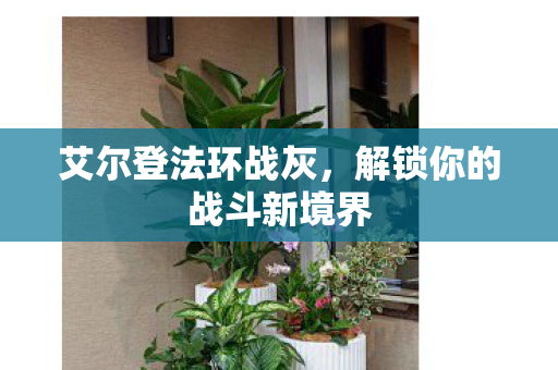 解锁你的战斗新境界图片
