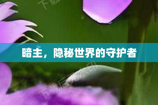 隐秘世界的守护者图片