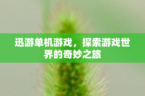 迅游单机游戏，探索游戏世界的奇妙之旅