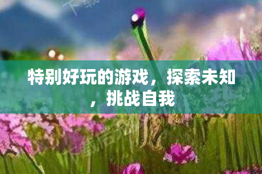 特别好玩的游戏，探索未知，挑战自我