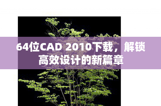 64位CAD 2010下载图片