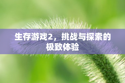 生存游戏2，挑战与探索的极致体验