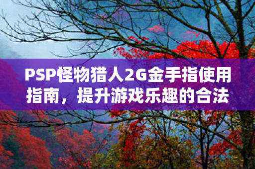 PSP怪物猎人2G金手指使用指南，提升游戏乐趣的合法途径
